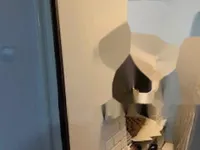 Недвижимость Квартира, 4 комнаты, Роштна Долина: 15