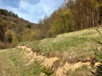 Недвижимость Земельный участок, Бесница, Живописная и Тихая Локация: 2