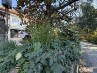 Недвижимость Дом с террасой в Пацуге: 8