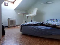 Недвижимость Трёхкомнатная квартира Бежиград: 8