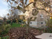 Недвижимость Дом, Любляна Бежиград.: 6