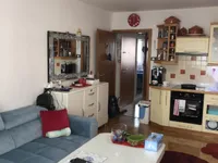 Недвижимость Квартира 1,5 комнаты Шентвид: 7