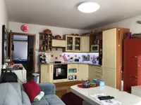 Недвижимость Квартира 1,5 комнаты Шентвид: 8