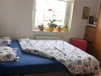 Недвижимость Квартира 1,5 комнаты Шентвид: 13