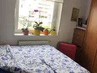 Недвижимость Квартира 1,5 комнаты Шентвид: 15