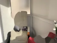 Недвижимость Квартира 1,5 комнаты Шентвид: 20