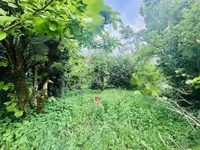 Недвижимость Дом, Любляна Центр, Рожна Долина: 3