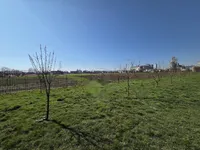 Недвижимость Дом, Подгорица: 6