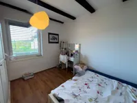 Недвижимость Дом-близнец Новые Штепанье: 9