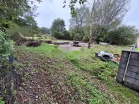 Недвижимость Дом в Мирной Локации: 1