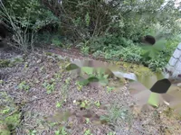 Недвижимость Дом в Мирной Локации: 6