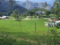 Недвижимость Участок, Сельскохозяйственные земли Купльеник: 2