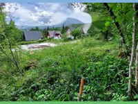 Недвижимость Земельный участок, Поле, Застроенный участок: 5