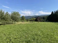 Недвижимость Участок, Сельскохозяйственная земля Блед: 4