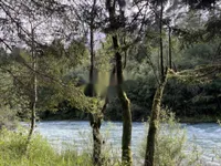 Недвижимость Участок, сельскохозяйственная земля Блед: 3