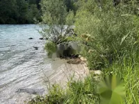 Недвижимость Участок, сельскохозяйственная земля Блед: 4