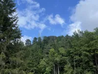 Недвижимость Участок, сельскохозяйственная земля Блед: 5