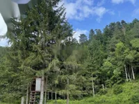 Недвижимость Участок, сельскохозяйственная земля Блед: 7