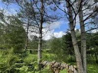 Недвижимость Участок, сельскохозяйственная земля Блед: 8