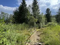 Недвижимость Участок, сельскохозяйственная земля Блед: 10