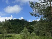 Недвижимость Участок, сельскохозяйственная земля Блед: 11