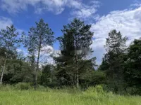 Недвижимость Участок, сельскохозяйственная земля Блед: 12