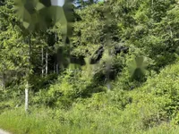 Недвижимость Участок, сельскохозяйственная земля Блед: 13