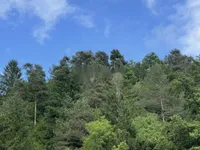 Недвижимость Участок, сельскохозяйственная земля Блед: 14