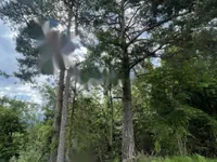 Недвижимость Участок, сельскохозяйственная земля Блед: 15