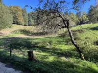 Недвижимость Участок, Сельхозземля Чешница при Кропи: 1