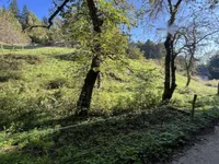 Недвижимость Участок, Сельхозземля Чешница при Кропи: 3