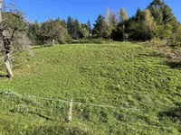 Недвижимость Участок, Сельхозземля Чешница при Кропи: 4