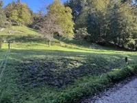 Недвижимость Участок, Сельхозземля Чешница при Кропи: 5