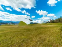 Недвижимость Земельный участок в Дворской Васи: 10