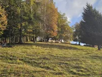 Недвижимость Усадьба, Сельскохозяйственная земля Вишельница: 4