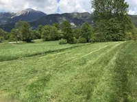 Недвижимость Участок, сельскохозяйственные земли Храше.: 5