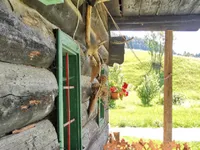 Недвижимость Поместье, ферма Копривник в Бохине, на солнечной стороне Альп: 9