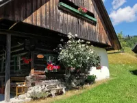 Недвижимость Поместье, ферма Копривник в Бохине, на солнечной стороне Альп: 15