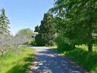 Недвижимость Дом, Изола: 5