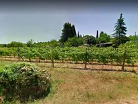 Недвижимость Дом, Изола: 6