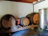 Недвижимость Дом, Изола: 13