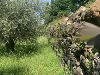 Недвижимость Дом с видом на море: 29