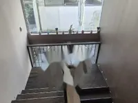 Недвижимость Коммерческое помещение: 27