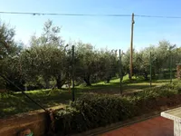 Недвижимость Квартира, 1-комнатная в Анкаране: 2