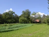 Недвижимость Участок, Сельскохозяйственная земля Новая Средняя Добрава: 6