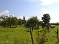 Недвижимость Участок, Сельскохозяйственная земля Новая Средняя Добрава: 8