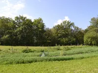 Недвижимость Участок, Сельскохозяйственная земля Новая Средняя Добрава: 10