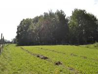 Недвижимость Участок, Сельскохозяйственная земля Новая Средняя Добрава: 11