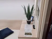 Недвижимость Гарсониера Ново Пиран: 10