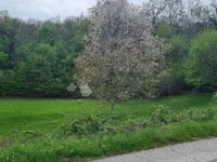 Недвижимость Семейный дом 170 м², Центр, Опатия: 10